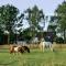 Bed & Breakfast de Zandhoef