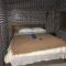 Gedul Homestay