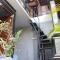 Gedul Homestay