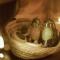 Dar Azawad Royal Desert Camp - Erg Chigaga Luxury Glamping