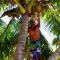 Bamboo Backpackers