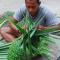Bamboo Backpackers