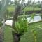Two Bedrooms Villa Mudram