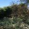 Apartments by the sea Vodice - 4248 Foto: Apartments by the sea Vodice - 4248
