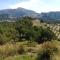 Finca Las Morenas