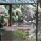Rainforest Eco Lodge