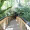 Rainforest Eco Lodge