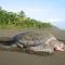 Casa Grande at Pacuare Reserve - Matina