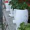 Apartment Seget Vranjica 1050b