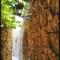 Mesta Mastic