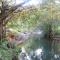 Dudhsagar Plantation