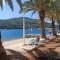Apartments by the sea Vela Luka, Korcula - 9243