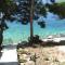 Seaside secluded apartments Cove Torac, Hvar - 575