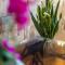 Merida Serviced Apartments
