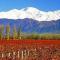 Casa en la Ruta del Malbec - Las Compuertas