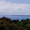 Island Goode's - Luxury Adult Only Accommodation near Hilo - Papaikou