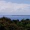 Island Goodes - Luxury Adult Only Accommodation near Hilo