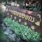 บ้านภทรพรรณ ขุนยวม แม่ฮ่องสอน PATARAPHAN HOUSE, Khunyuam, Maehongson, Thailand - Ban Khun Yuam