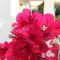 Angeliki Studio & Apartment