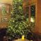 Sturdy`s Castle - Historic Coaching Inn near Blenheim Palace, Oxfordshire