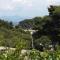 Apartments and rooms by the sea Cove Saplunara, Mljet - 4907