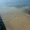 Apartments by the sea Turanj, Biograd - 6445