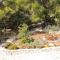 Apartments by the sea Prizba, Korcula - 9229