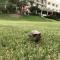 Hai Yue Homestay