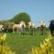 Seafield Farmhouse