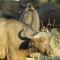 Simply Saadani Camp, A Tent with a View Safaris - Mkwaja