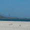Aloha Corralejo