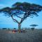 Pumzika Luxury Safari Camp