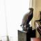 B&B Graziani Relais