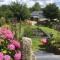 WebberHillFarmCottages - Okehampton