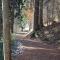 Wehr Orchidee Apartment