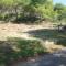 Apartments with parking space Rukavac, Vis - 8496