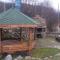 Paradiso Verde (Green Life)
