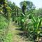 Finca Machangara