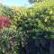 Finca Machangara