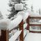 Hotel Ca' del Bosco - Selva di Cadore