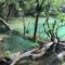 SpringRiver Resort
