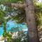 Apartments Marinana