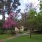 כפר הנופש קיבוץ גדות Kibbutz Gadot Galilean Resort