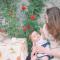 B&B I Corni di Nibbio - ميرجوزو