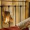 Oinoessa Traditional Boutique Guest Houses