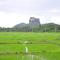 Rock Lake Home Stay - Sigiriya