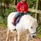 Polean Farm Cottages - With Free Animal Feeding and Pony Rides and Free Access to a Nearby Pool - Looe