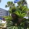 Days Inn by Wyndham Panama City Beach/Ocean Front - Panama City Beach