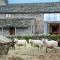 Drovers Rest Farm Stay
