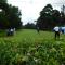 Sigona Golf Club